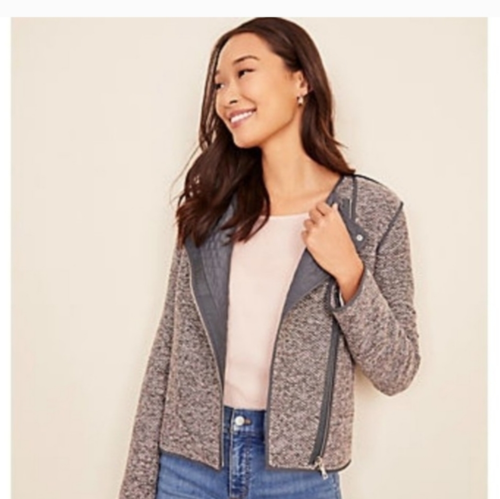 Ann Taylor Quilted Tweed Moto Jacket